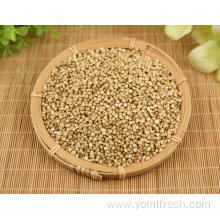 Tartary Buckwheat Rice